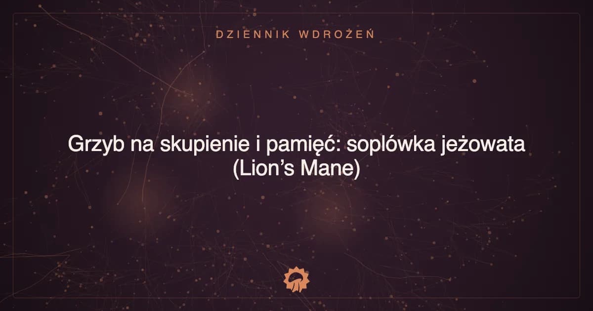 Ilustracja wpisu: Grzyb na skupienie i pamięć: soplówka jeżowata (Lion’s Mane)