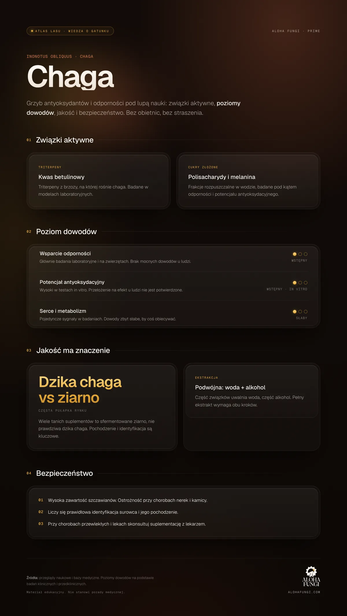 Chaga — infografika edukacyjna
