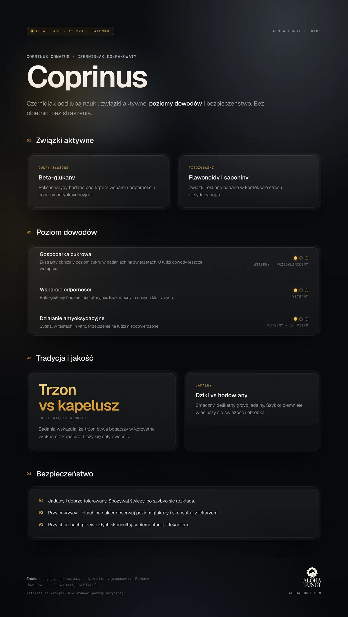 Coprinus — infografika edukacyjna