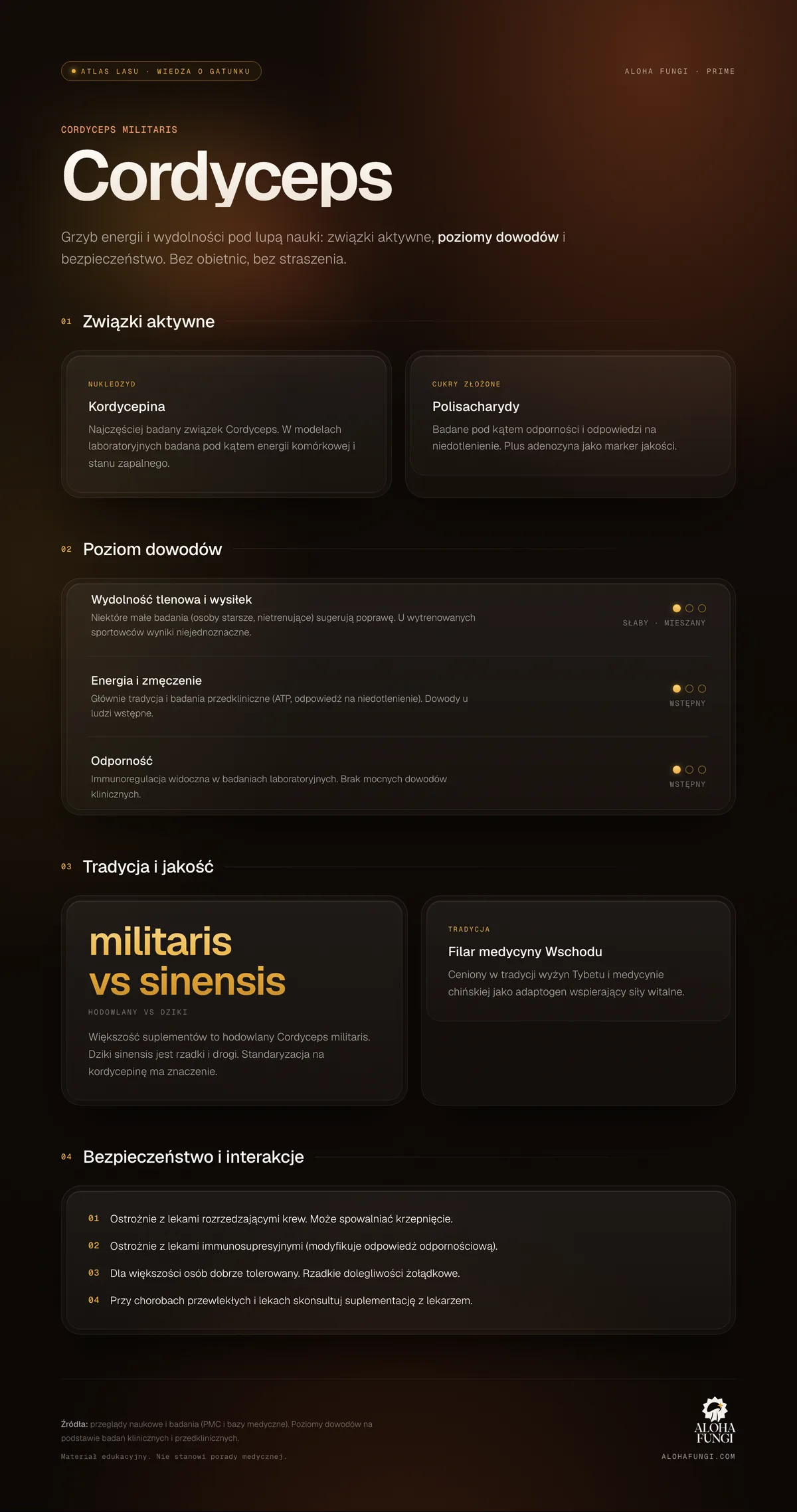 Cordyceps — infografika edukacyjna