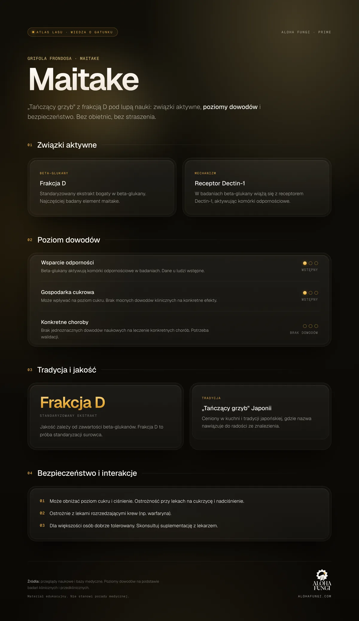 Maitake — infografika edukacyjna