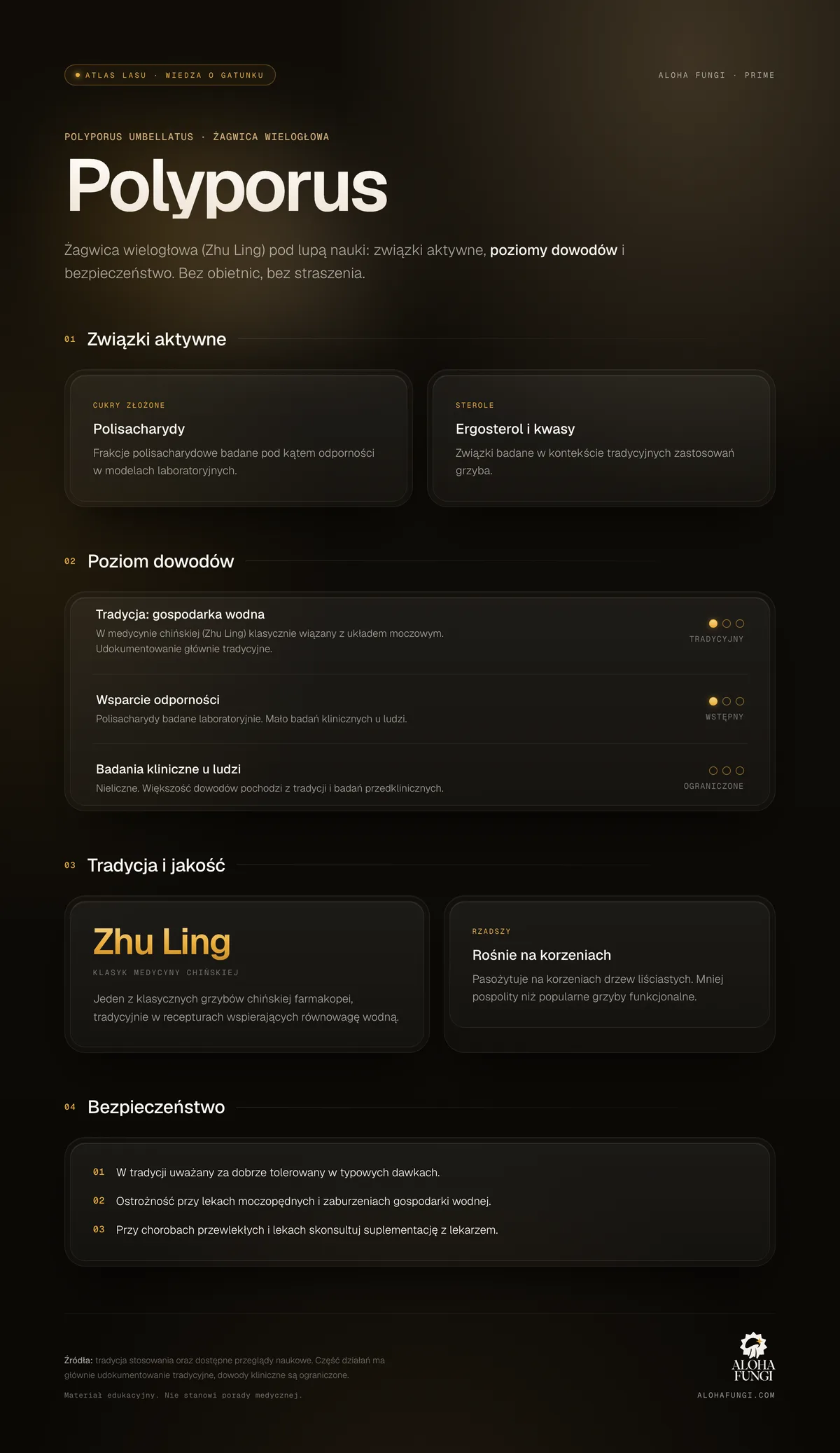 Polyporus — infografika edukacyjna