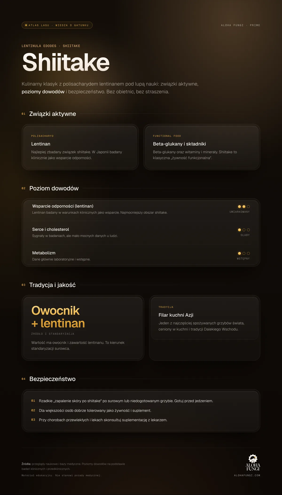Shiitake — infografika edukacyjna